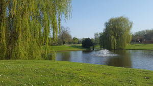 begraafplaats de Ommering